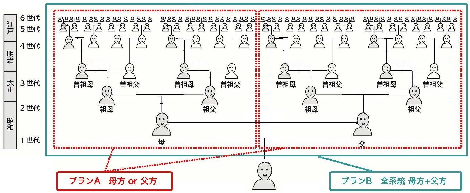 参考事例・お客様の年代30代　プランA（母方 or 父方）とプランB（全系統・母方＋父方）の調査範囲を示した系統図